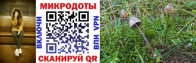 Галлюциногенные грибы Magic Shrooms даркнет как зайти Южно-Сахалинск наркота