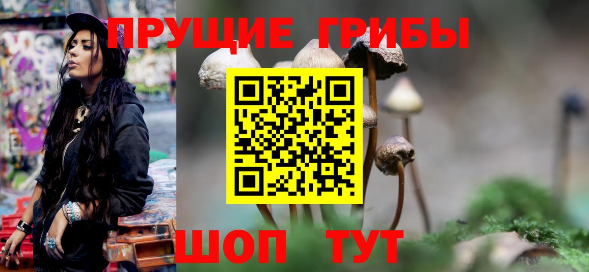 Южно-Сахалинск  Псилоцибиновые грибы Psilocybe  Вход с VPN 