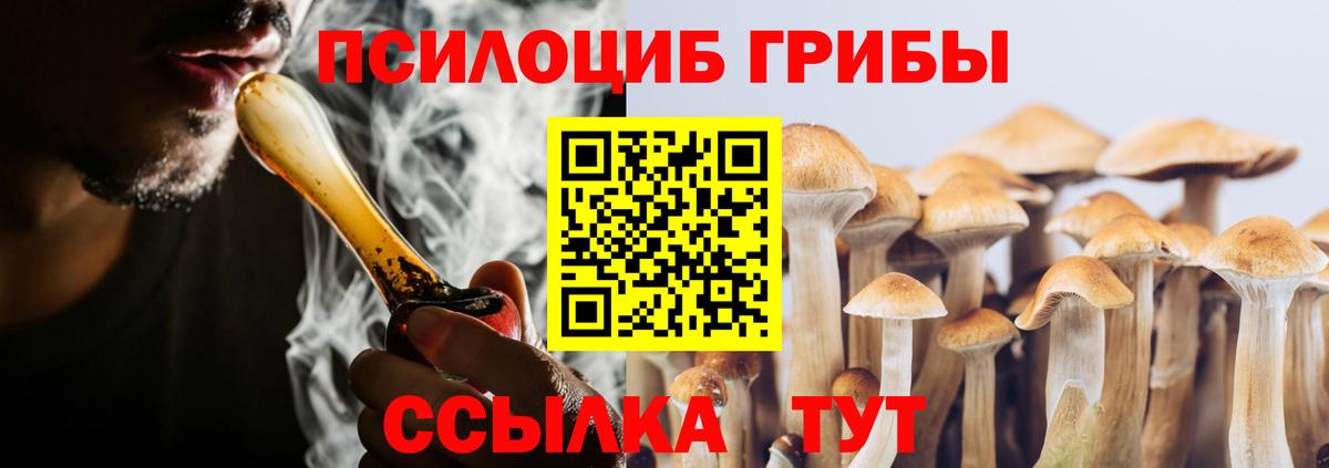 Псилоцибиновые грибы Psilocybe Южно-Сахалинск